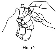 hinh-2